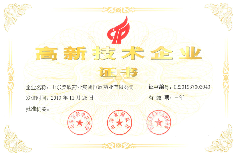 高新技术企业(恒欣)
